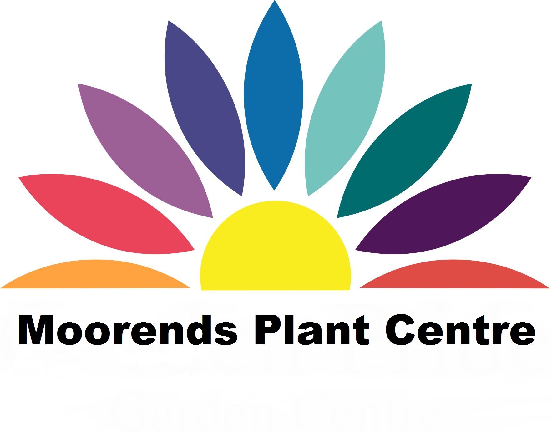 Site Icon